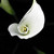 :iconeye4theamazing: