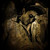 :iconeyebull665: