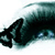 :iconeyeminded: