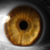 :iconeyemusic: