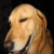 :iconeyepaint: