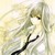 :iconeyerutherford:
