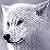 :iconeyesofwolf: