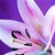 :iconeyeswithin: