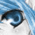 :iconeystra: