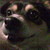 :iconezava2: