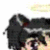 :iconf0rever: