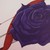 :iconf0reverindream: