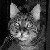 :iconf0rg0t-nightmare: