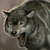 :iconf0xtail2: