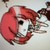 :iconf1finkle: