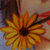:iconf3lsyfic:
