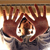 :iconf-acelift: