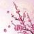 :iconf-blossom: