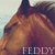 :iconf-e-d-a-l-i: