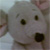 :iconfa6amy100: