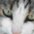 :iconfa9: