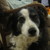 :iconfabartchick:
