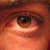 :iconfabio-c: