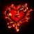 :iconfabiolapastor: