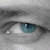 :iconfabiuswong: