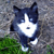 :iconfableweaver:
