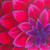 :iconfabmab: