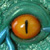 :iconfabulousbeasts:
