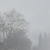 FabulousKatulous :iconfabulouskatulous: