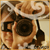 :iconfaby90: