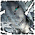:iconfac-tor: