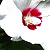 :iconfacing-sunward: