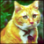 :iconfactac:
