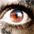 :iconfaddevil: