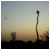 :iconfade85: