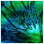 :iconfaded-red: