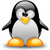 :iconfadhlanorang: