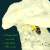 :iconfadingabyss: