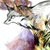 :iconfadingfox: