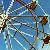 :iconfadingphotos: