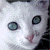 :iconfadingsilence: