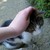 :iconfaerie-folk: