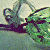 :iconfaeriephace: