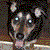 :iconfaerietale: