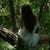 :iconfaerychildcreations:
