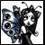 :iconfaeryofevol: