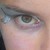 :iconfaewitch: