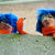 :iconfailingsanitycosplay: