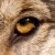 :iconfaint03: