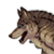 :iconfaintspiritwolf: